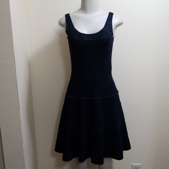 Ralph Lauren Dresses & Skirts - Ralph Lauren black label navy blue knit dress-M